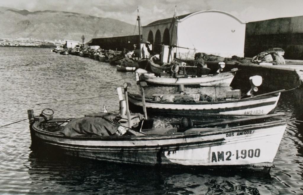 Barcas Dos Amigos y AM2-1900 en el puerto de Roquetas